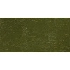 Gamblin Artist Oil Paint - Olive Green Photo