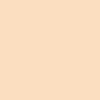 Winsor Newton Winsor & Newton Brush Marker - Blush Photo