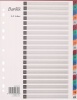 Bantex PP Indexes Photo