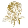 Couture Creations Anna Griffin Hotfoil Stamp with Classic Rose image Photo