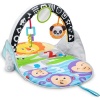 Fisher Price Fisher-Price 2-in-1 Flip and Fun Activity Gym Photo