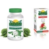 Moringa Capsules and Tea - Apple & Cinnamon Infusion Photo