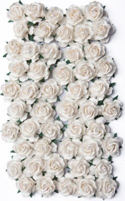 Photo of Bloom Enterprises Bloom Large Wild Roses with Stems - Ivory