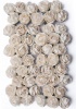 Bloom Enterprises Bloom Embellishments Flowers Peony Photo