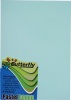 Butterfly A4 160gsm Board - Pastel Photo