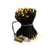 Litehouse 10m 100 LED Black String Fairy Lights - Warm White Photo