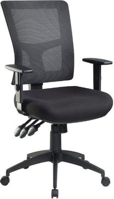 Photo of Cobalt Enduro Heavy-Duty Ergonomic Office Chair