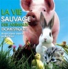 Milan La Vie Sauvage Des Animaux Domestiques Photo