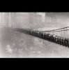 Shoelay Music The Girl I Left Behind Me Photo