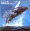 BGO Records Song of the Humpback Whale Photo