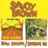 Raw Sienna/Looking In Photo