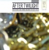 Ltm After Twilight Photo