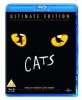 Cats Photo