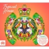 Tropical House Photo