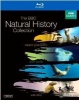 The BBC Natural History Collection Photo