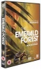 The Emerald Forest Photo