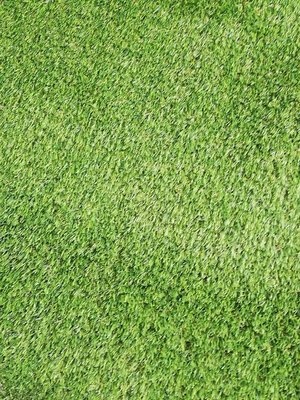 Photo of Seagull Artificial Grass Roll