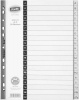 Bantex B6235 Mylar Tabbed Indexes Photo