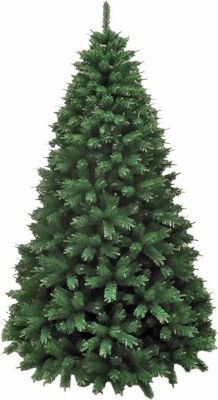 Photo of Koleda Christmas Tree - Pikes Bristlecone 2.7m