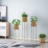 Fine Living Cassidy Plant Stand Photo