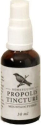 Photo of Honeyguide Propolis Tincture with Dropper