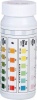 Speck Pool Test Strips Photo