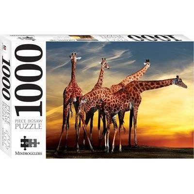 Photo of Hinkler Books Giraffes Open-air Zoo France Puzzle