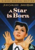 A Star Is Born - 2-Disc Special Edition Photo