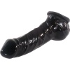 Fantasy Sexual Health