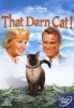 That Darn Cat Photo