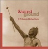 Silver Wave Sacred Ground: A Tribute to Mother Earth Photo