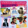 Teenage Crush Vol. 5 Photo