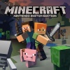 Minecraft Photo