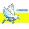 We Shall Be Like Birds [Us Import] Photo