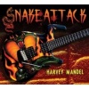 Snake Attack Photo
