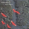 New Note Towards the Wind Photo