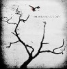 Universal Music Group Airborne Toxic Event CD Photo