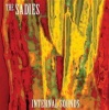 Internal Sounds Photo