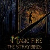Yep Roc Magic Fire Photo
