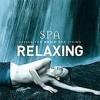 Allegro Global Journey Spa Series: Relaxing Photo