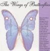 The Wings Of Butterflies Photo
