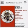 Orchestral Works Photo
