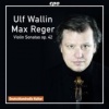 Max Reger: Violin Sonatas Op. 42 Photo