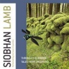 Siobhan Lamb: Through the Mirror/Tales from Childhood Photo
