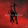 Carl Orff: Carmina Burana Photo