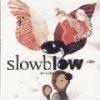 Mobile Slowblow Photo