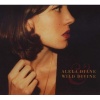 Alela Diane & Wild Divine Photo