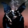 Birds in the Trap Sing McKnight Photo