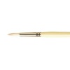 Pro Arte Series B Hog Bristle Oil / Acrylic Brush Photo