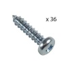 Lion Publishing Lion Framing 12 small steel screws For Flexi Plates Photo